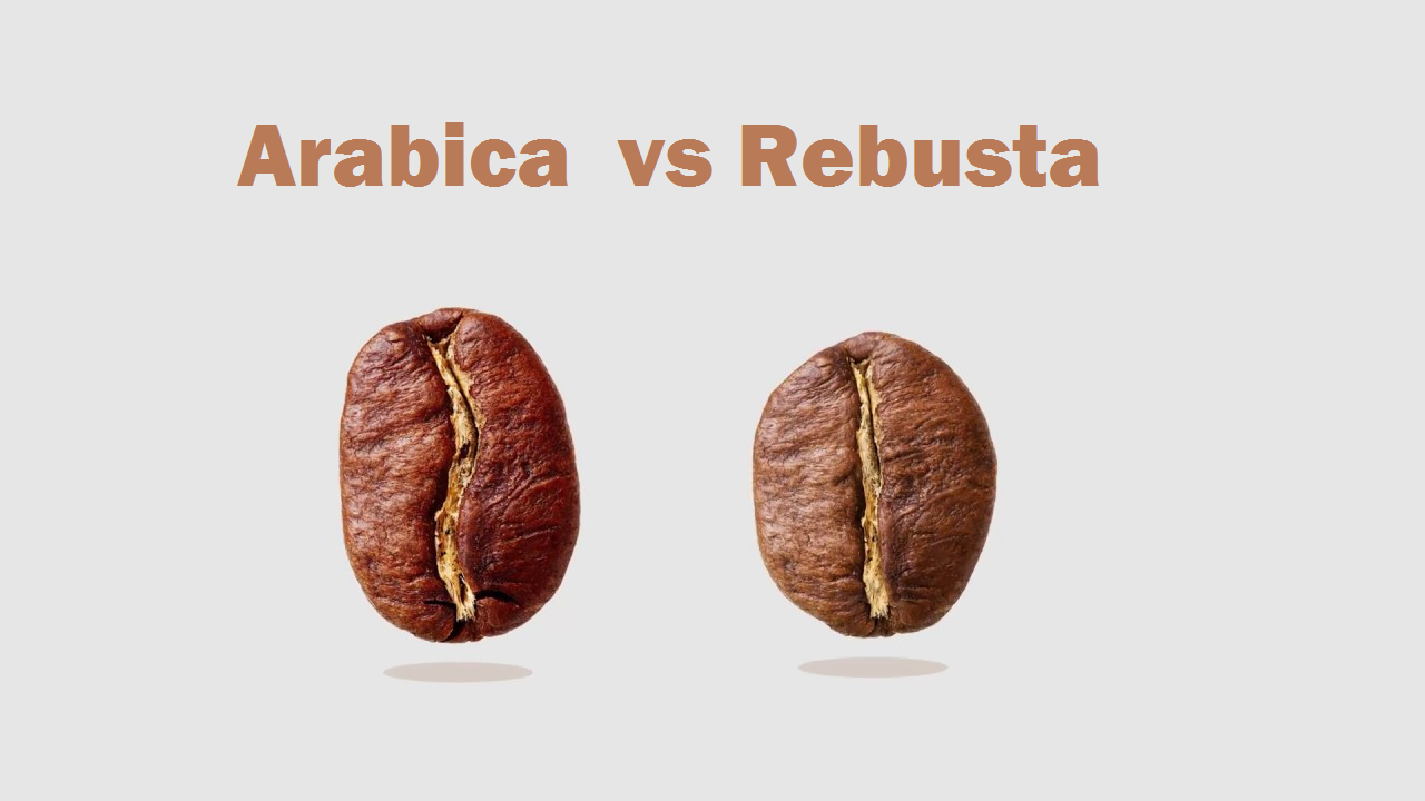 ROBUSTA COFFEE THE ULTIMATE GUIDE Coffee Supremacy