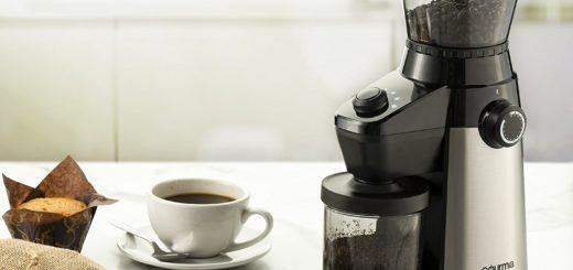 coffee grinder reviews best Gourmia GCG195