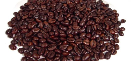 robusta coffee vs arabica adventages and differences