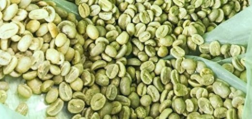 what is white coffee beans? unroasted beans?
