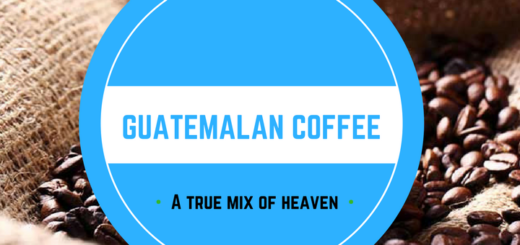 Guatemala coffee: find out more about history, farms, flavor, brands...